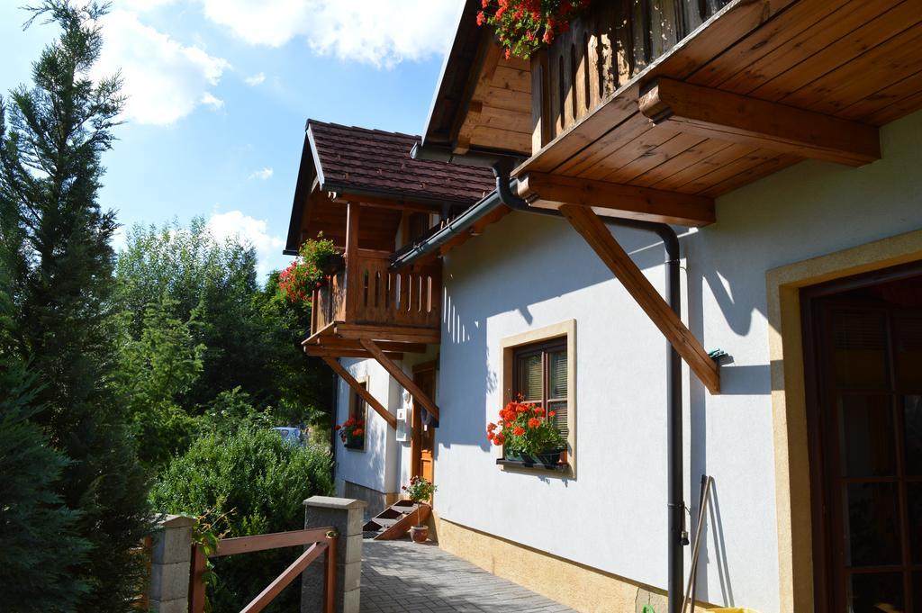 Pension Druhy Domov Nový Bor Zewnętrze zdjęcie